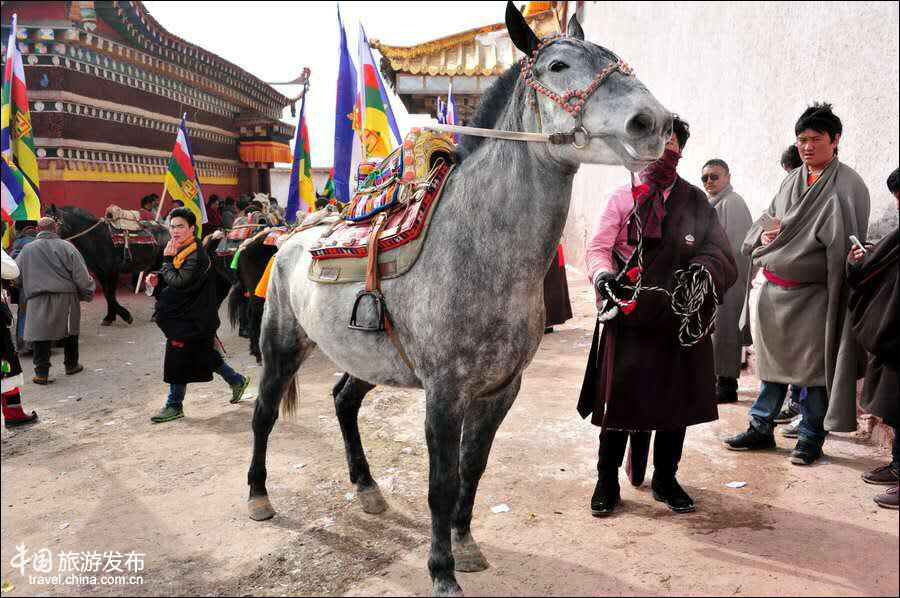 四川阿坝：朗依寺那些不得不说、特别神秘的事情