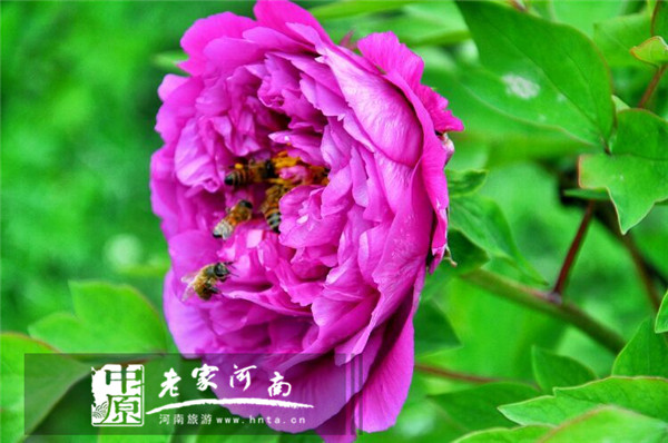 唐僧的老家竟然在这里