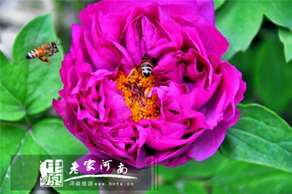 唐僧的老家竟然在这里