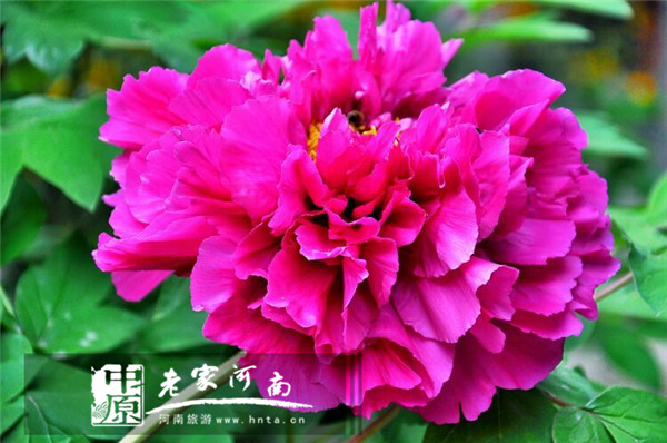 唐僧的老家竟然在这里