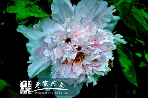 唐僧的老家竟然在这里