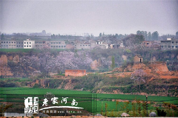 唐僧的老家竟然在这里