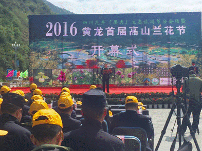相约五彩黄龙,邂逅最美兰花 首届高山兰花节开幕 黄龙景区向世界推出“兰花”名片