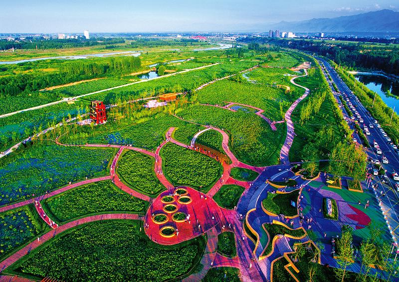 渭河百里画廊的旅游明珠 眉县千亩荷塘碧叶连天
