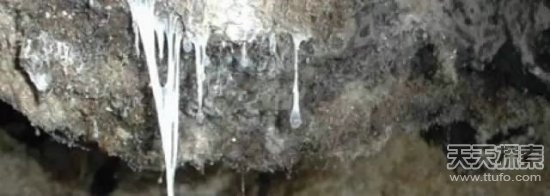 震惊众人！外星生命或生存在恒星大气中