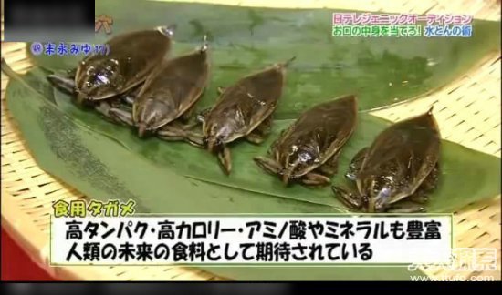 日本超级变态的节目：绝对会让你震惊