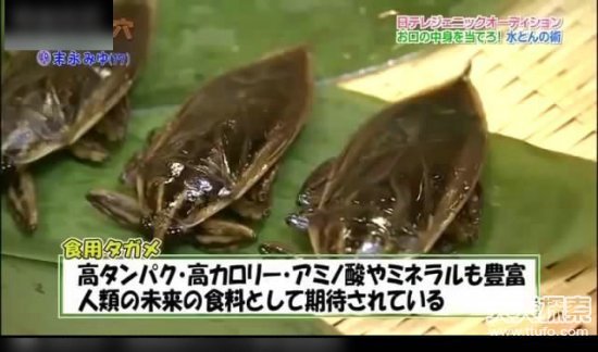 日本超级变态的节目：绝对会让你震惊