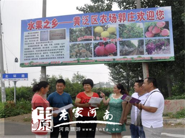 周口市川汇区黄泛区大力发展乡村旅游 百果飘香引来游客无数