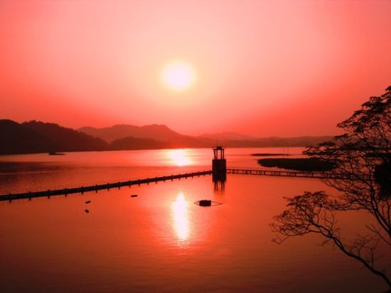 横县西津国家湿地公园 图：新浪博主/中国国际茉莉花文化节