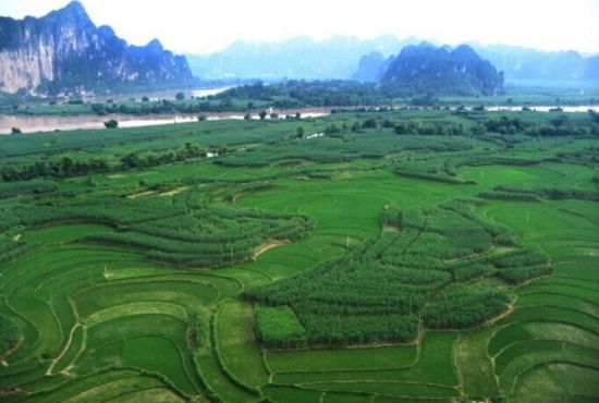 左江的田园风景 图：新浪博主/西方
