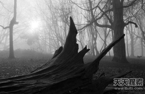 非洲耶名山魔石散发幽光 杀人于无形