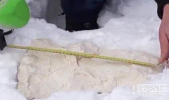 俄罗斯拍到雪怪 体型巨大全身长满毛