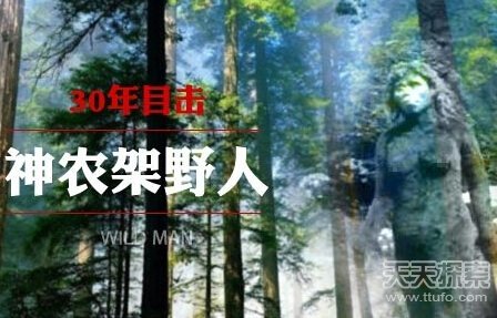 野人再添神秘：神农架出现不明毛发