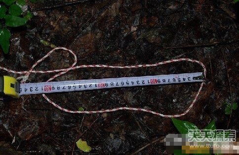 野人再添神秘：神农架出现不明毛发