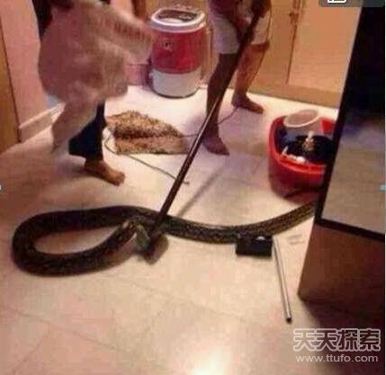 男子半夜上厕所听到怪声 拆开马桶瞬间傻眼