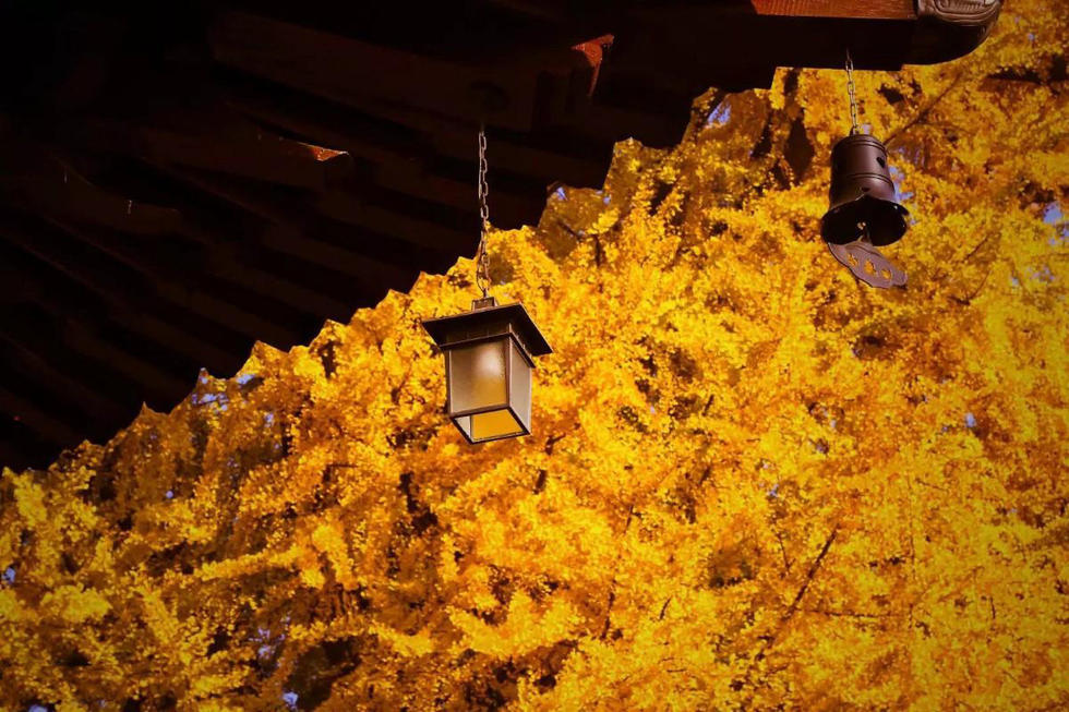 不只有千年银杏树 终南山古观音寺内禅味十足