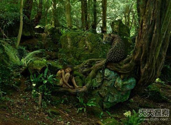 震撼揭秘：14个被动物养大的悲惨人类