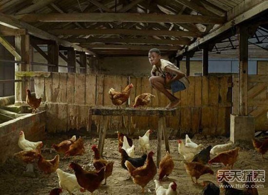 震撼揭秘：14个被动物养大的悲惨人类
