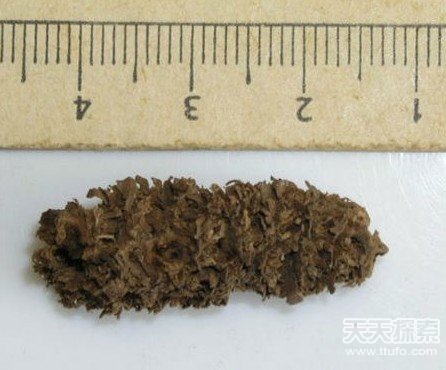 古人智慧太逆天 史上仍沿用至今的古老发明