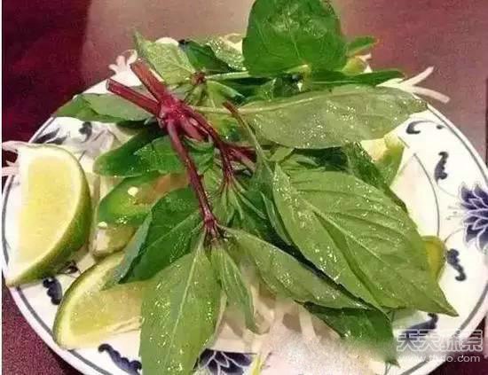越南多怪：可一夫多妻 美女竟不敢穿吊带