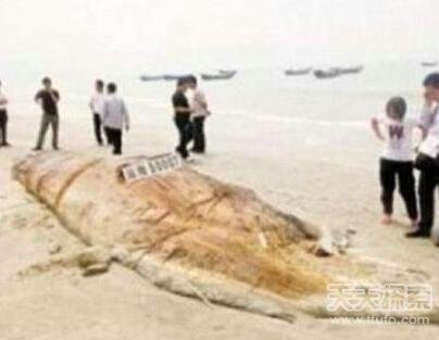 民间流传的8种可怕的生物：竟然有这种生物