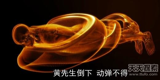 实拍巨蟒食人全过程：吞进人头后被警察击毙