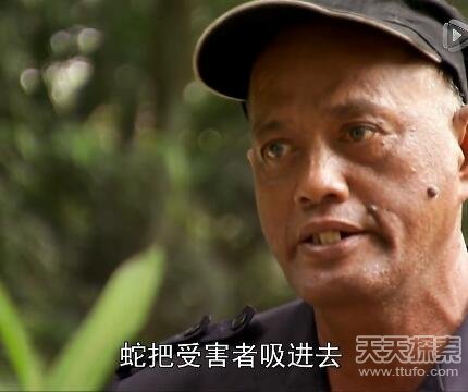 实拍巨蟒食人全过程：吞进人头后被警察击毙