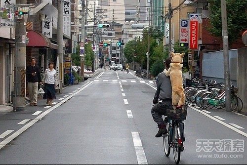 30张图带你了解真实的日本生活 太震撼了