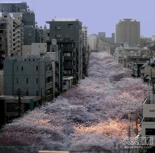 30张图带你了解真实的日本生活 太震撼了