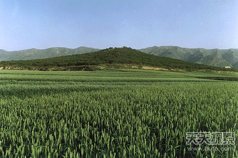 秦陵背后惊天秘密：占地78个故宫那么大