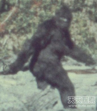 那些科学无解的神秘现象 令人毛骨悚然