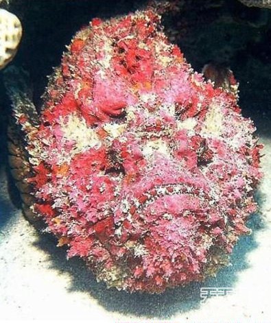 毒物
