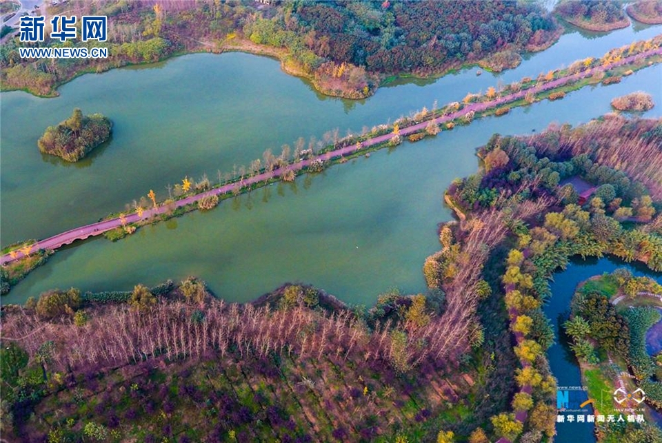 成都锦江白鹭湾湿地获评国家城市湿地公园