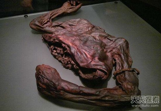 沼泽地发现男尸！没想到竟揭露了惊天秘密