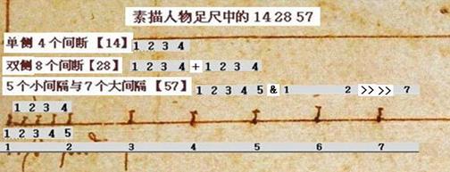 达芬奇 《维特鲁威人》 数字之谜