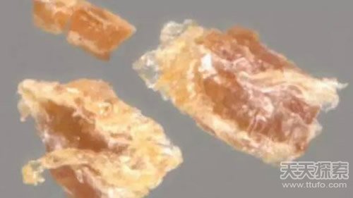 考古史上那些最令人毛骨悚然的十大考古发现