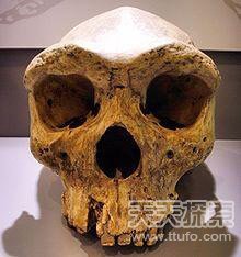 近百年十大令人震惊的考古发现 让人实在疑惑