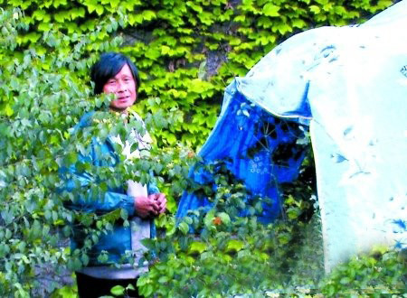 奇人怪癖大盘点：男子自愿阉割求快感