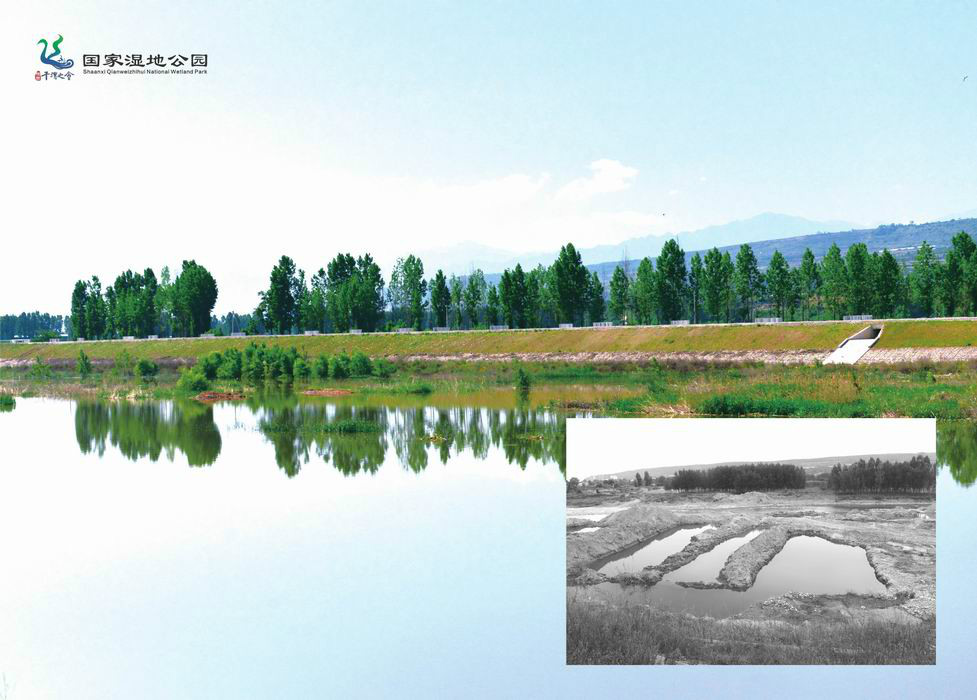 新旧对比看千渭——陕西千渭之会国家湿地公园建设掠影
