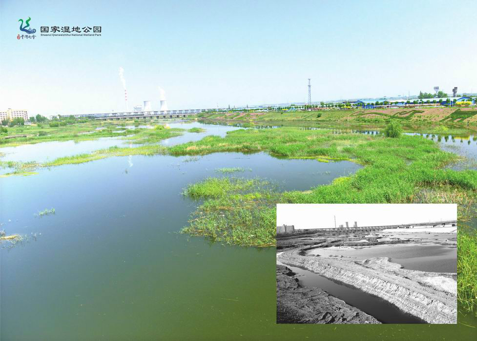 新旧对比看千渭——陕西千渭之会国家湿地公园建设掠影