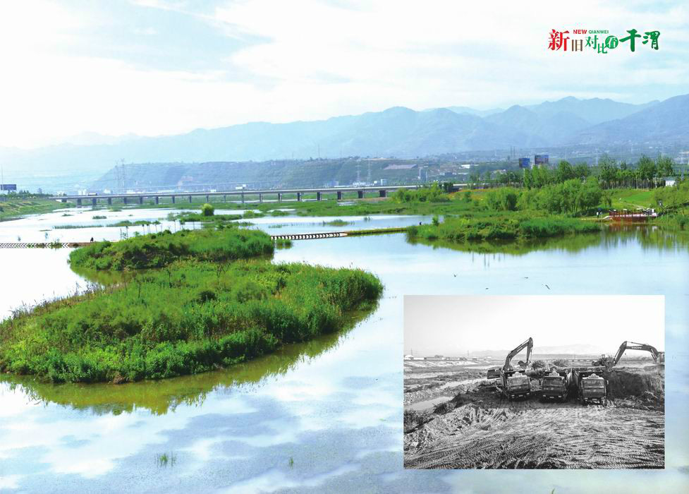 新旧对比看千渭——陕西千渭之会国家湿地公园建设掠影