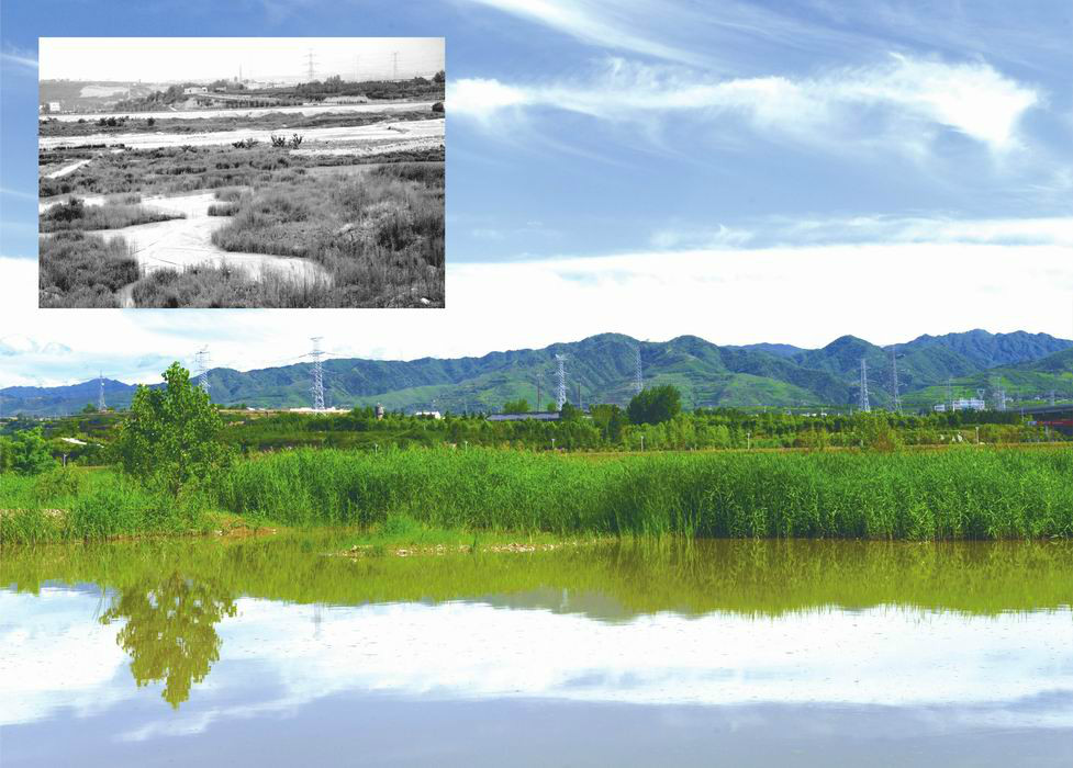 新旧对比看千渭——陕西千渭之会国家湿地公园建设掠影