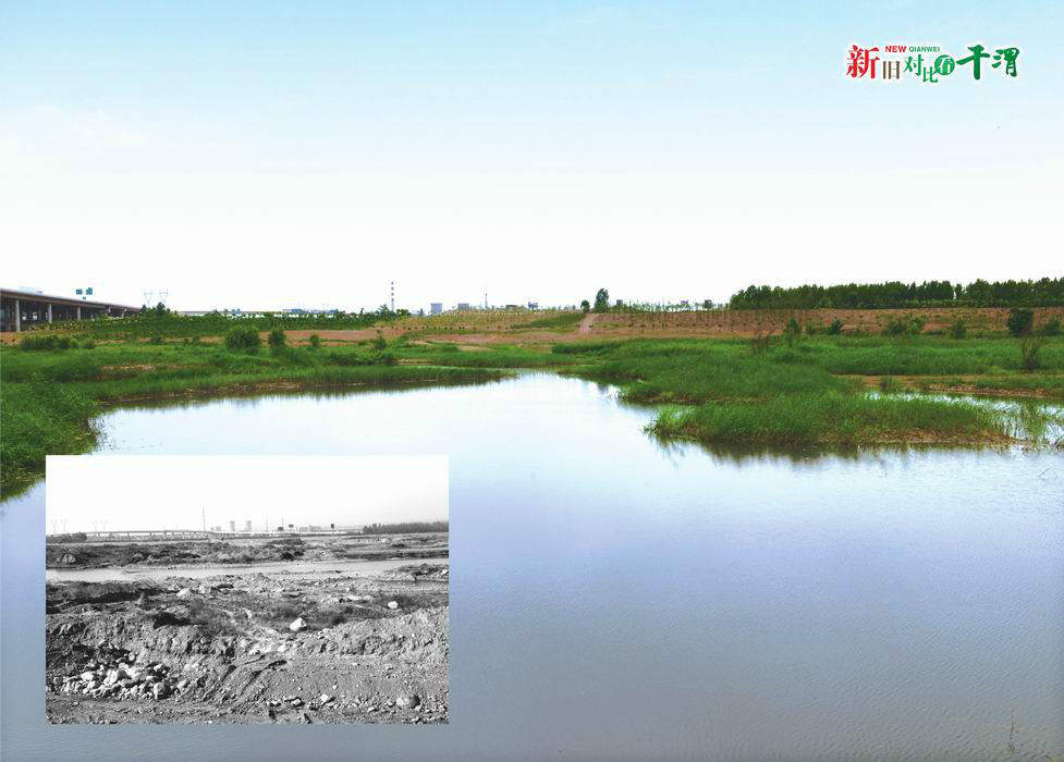 新旧对比看千渭——陕西千渭之会国家湿地公园建设掠影