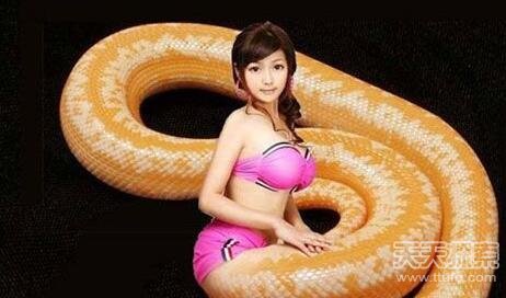 震惊！印尼发现人头蛇身怪物 到底是真是假？