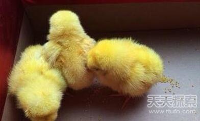 惊呆了！盘点世界上十大匪夷所思的怪事