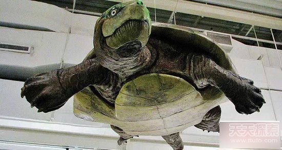 10大远古恐怖巨型生物：绝对让你心惊肉跳