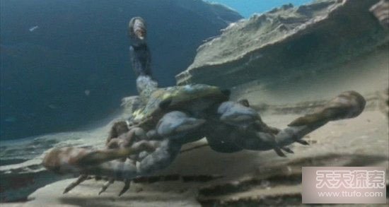 10大远古恐怖巨型生物：绝对让你心惊肉跳