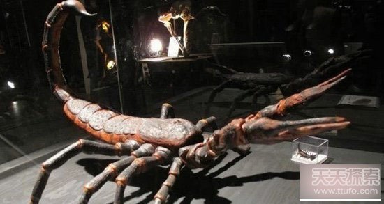 10大远古恐怖巨型生物：绝对让你心惊肉跳