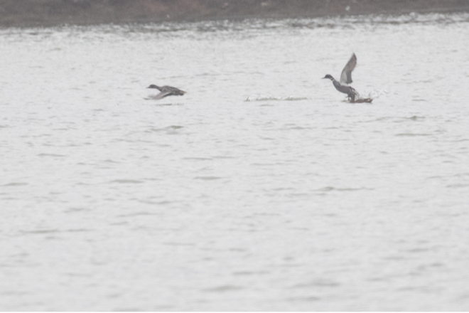 QQ截图20190116093240