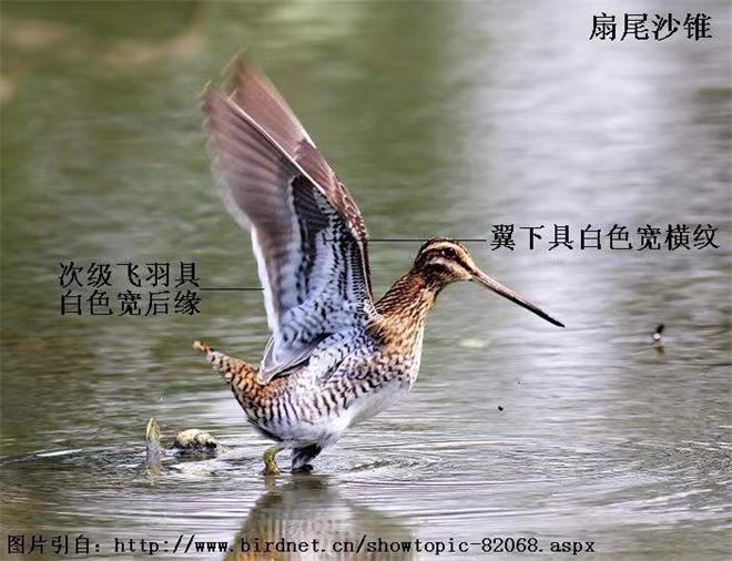 微信图片_20190304083855